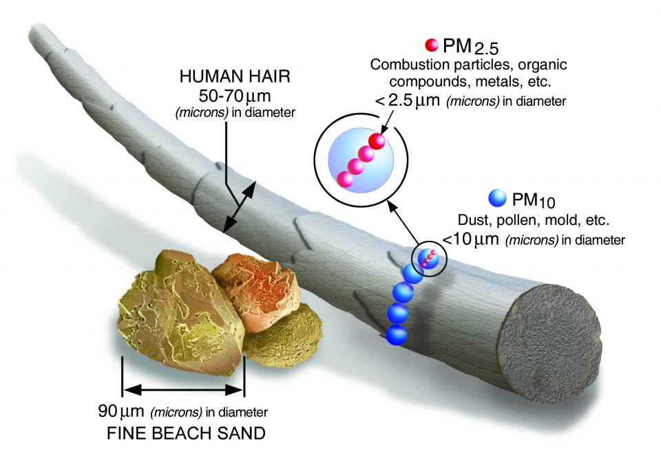 particulate matter average size